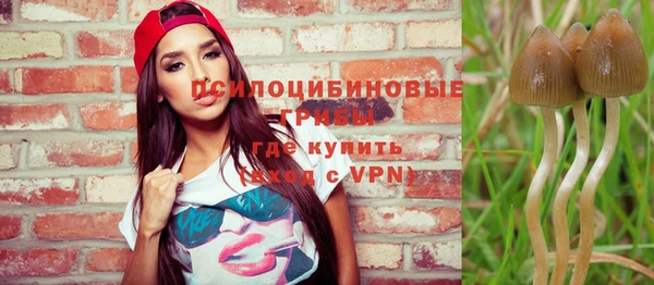 альфа пвп Армянск
