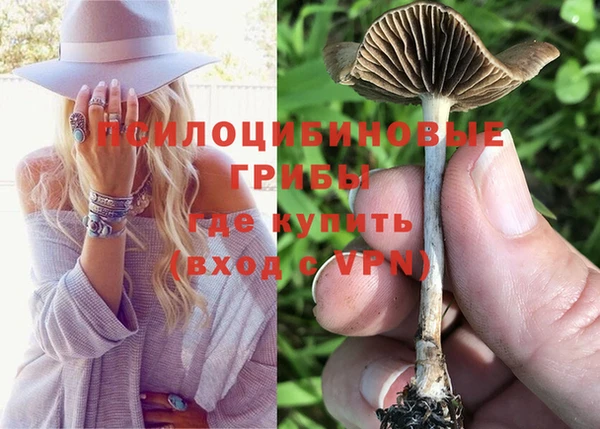 дурь Алексеевка