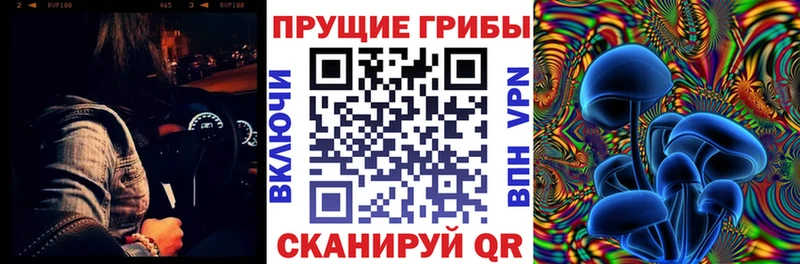 Псилоцибиновые грибы Psilocybine cubensis  как найти закладки  Губкин 