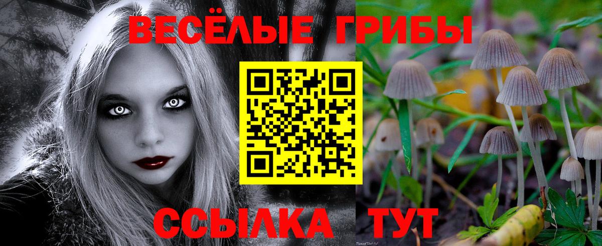 Галлюциногенные грибы Psilocybe  Вход с VPN  Губкин  Галлюциногенные грибы Psilocybine cubensis 